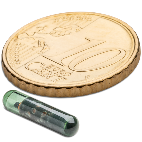 GT 3/13 MM LF HITAG S 2048