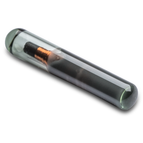 GT 2/12 MM LF UNIQUE V1